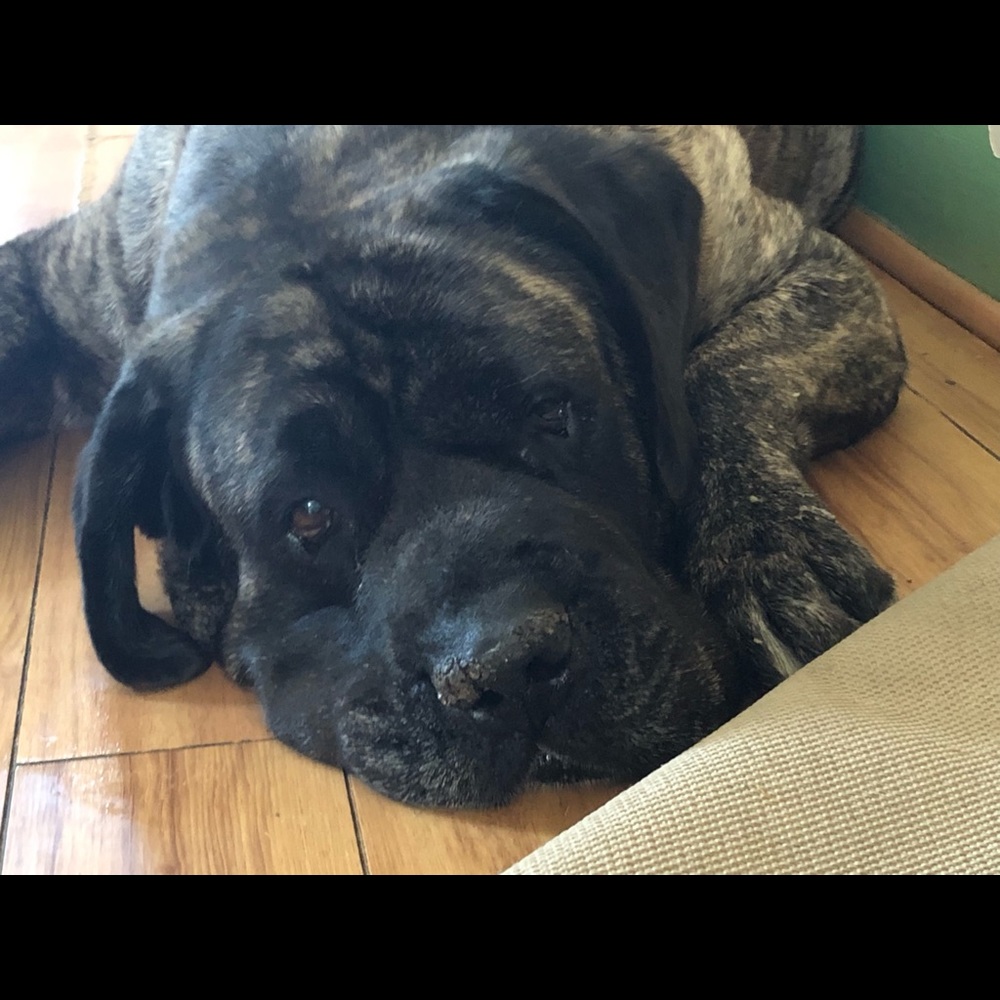 Meet your Posher, Diane